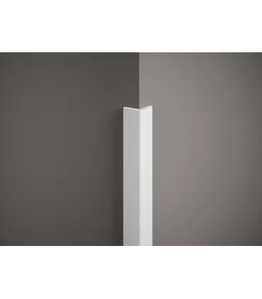 Rohová lišta na stenu DMS 200 x 2,2 x 2,2 cm ochrana pred poškodením